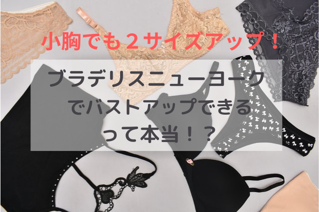 小胸でも2サイズアップ ブラデリスニューヨーク でバストアップできるって本当 Naco Life アラフォー派遣社員の日常 小胸でも2サイズアップ ブラデリスニューヨーク でバストアップできるって本当 Naco Life アラフォー派遣社員の日常